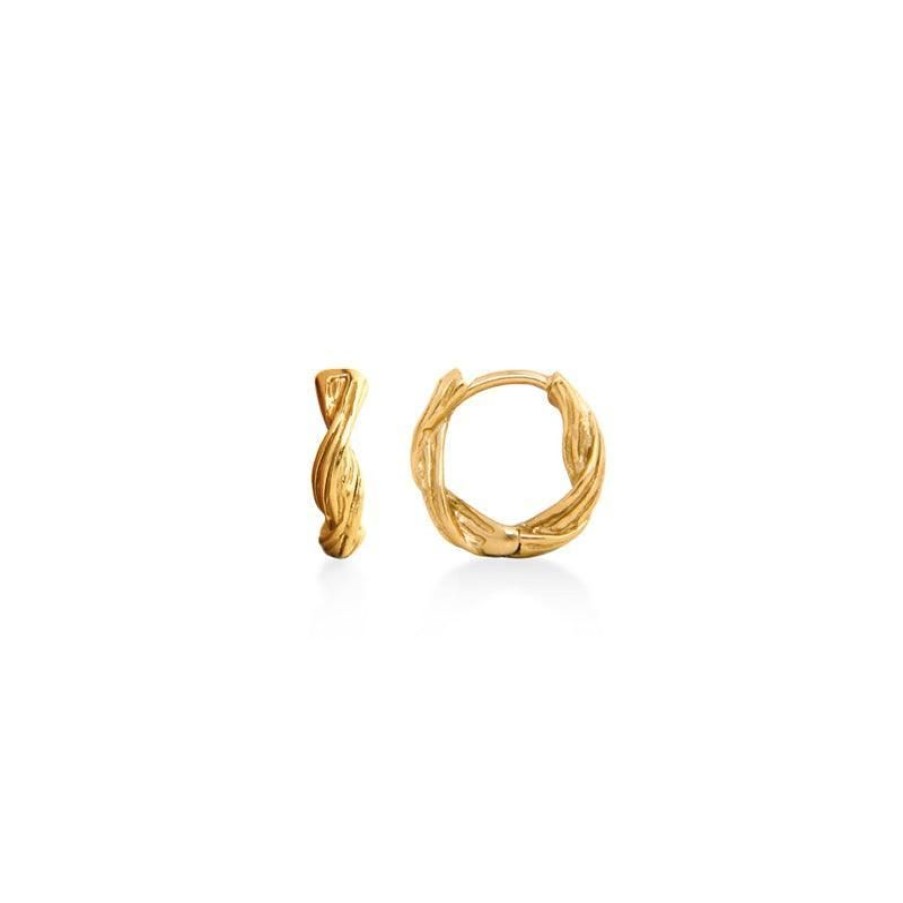 Smykker Jeberg Jewellery Creoler & Hoops | Jeberg Jewellery Sand Dune Hoops Forgyldt - 51200