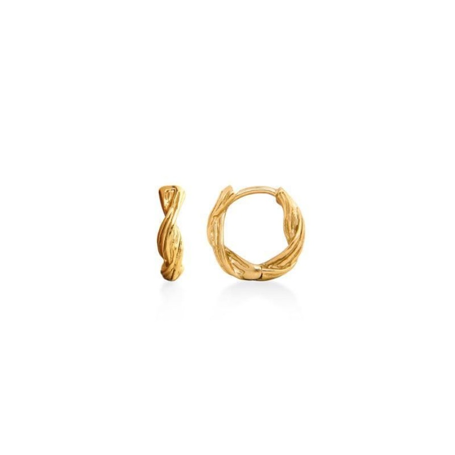 Smykker Jeberg Jewellery Oreringe | Jeberg Jewellery Sand Dune Hoops Forgyldt - 51200