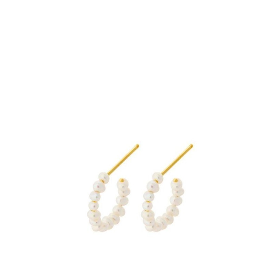 Smykker Pernille Corydon Oreringe | Pernille Corydon Ocean Treasure Hoops - E-438-Gp